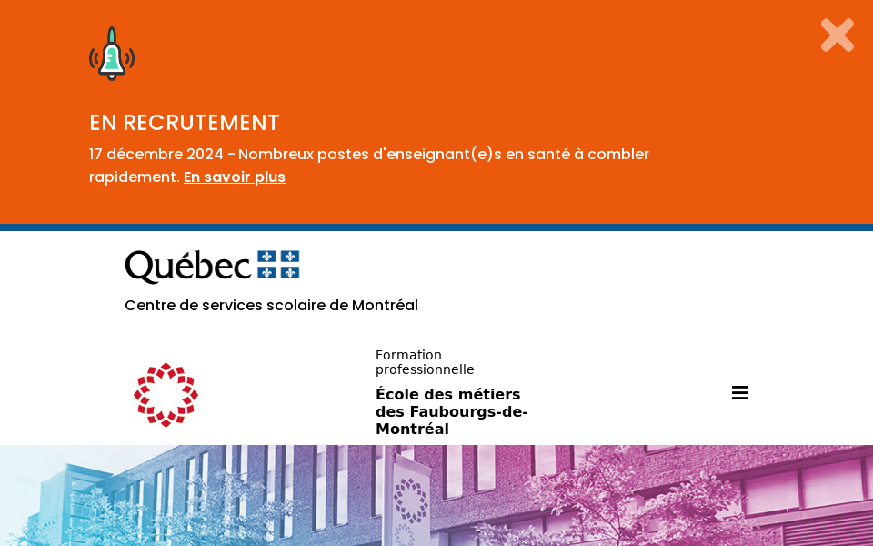 ecole-metiers-faubourgs.csdm.ca/ screen capture