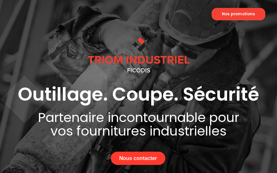 triomindustriel.ca/ screen capture