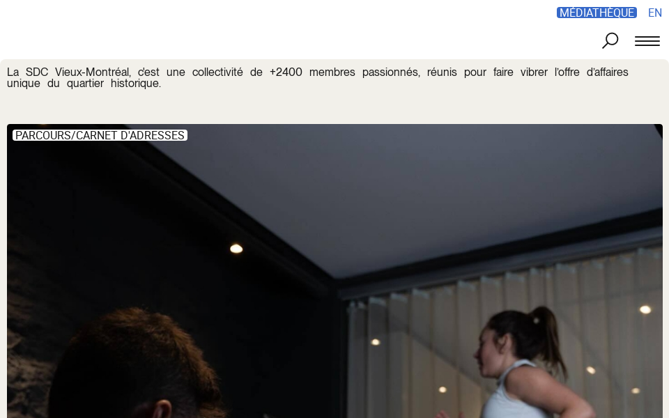 sdcvieuxmontreal.com/ screen capture