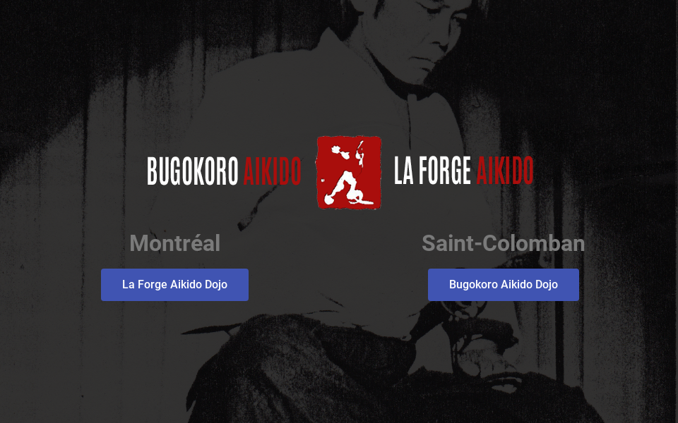 aikidolaforge.com/ screen capture