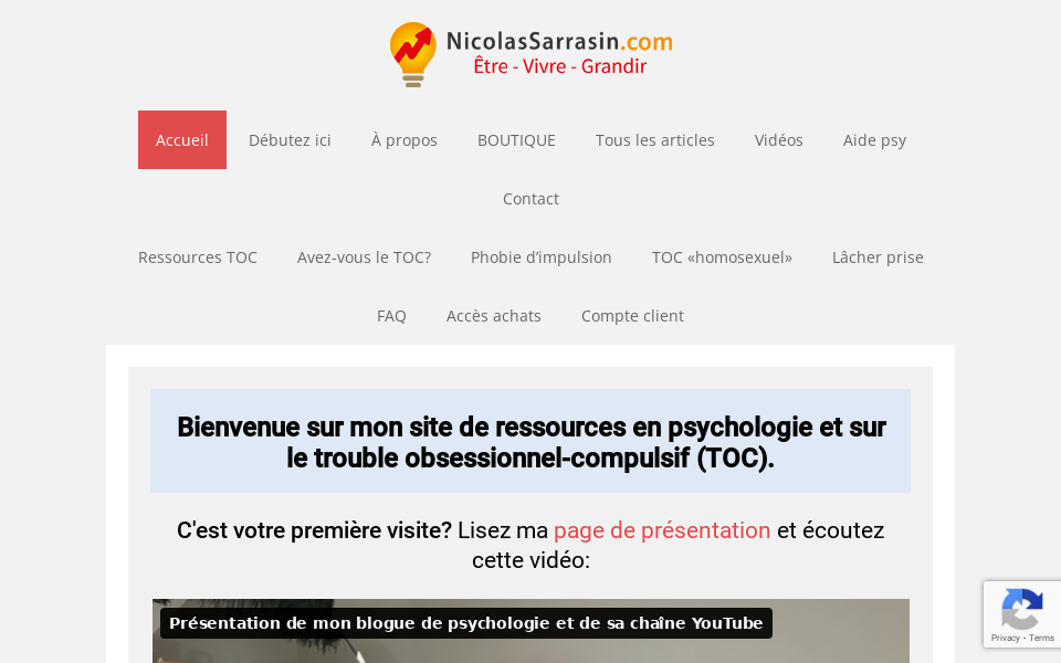 www.nicolassarrasin.com/ screen capture