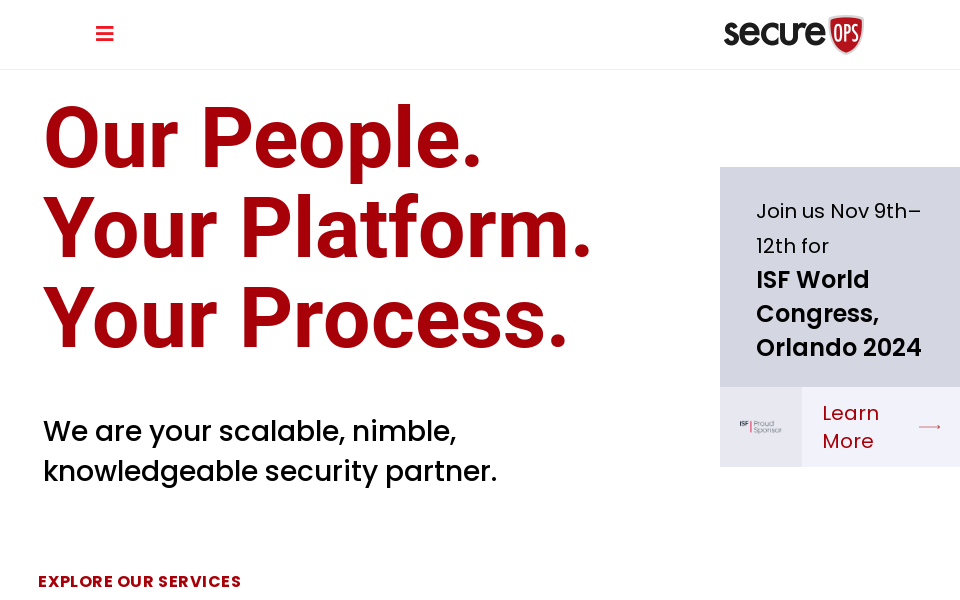 secureops.com/ screen capture