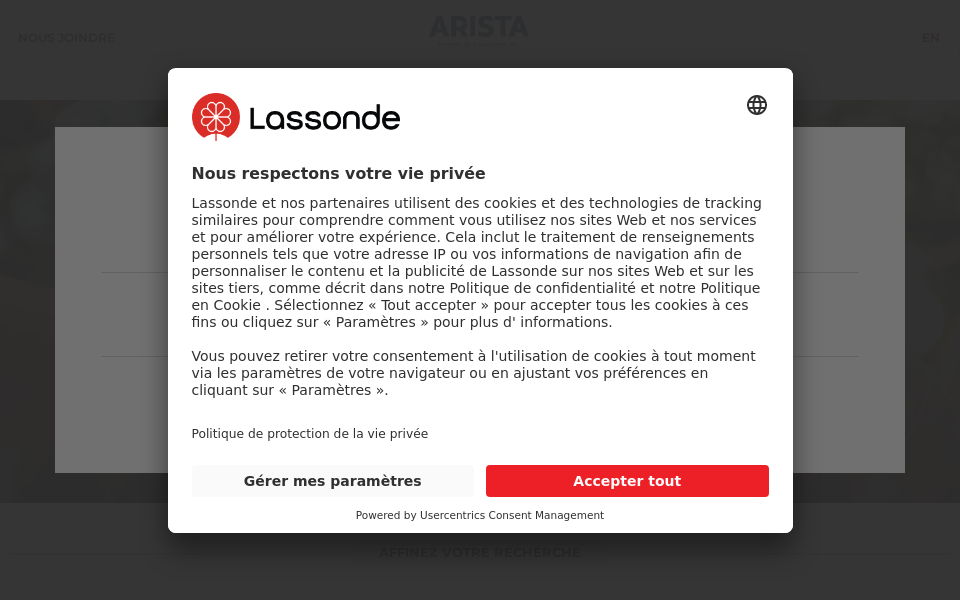 vinsarista.com/ screen capture