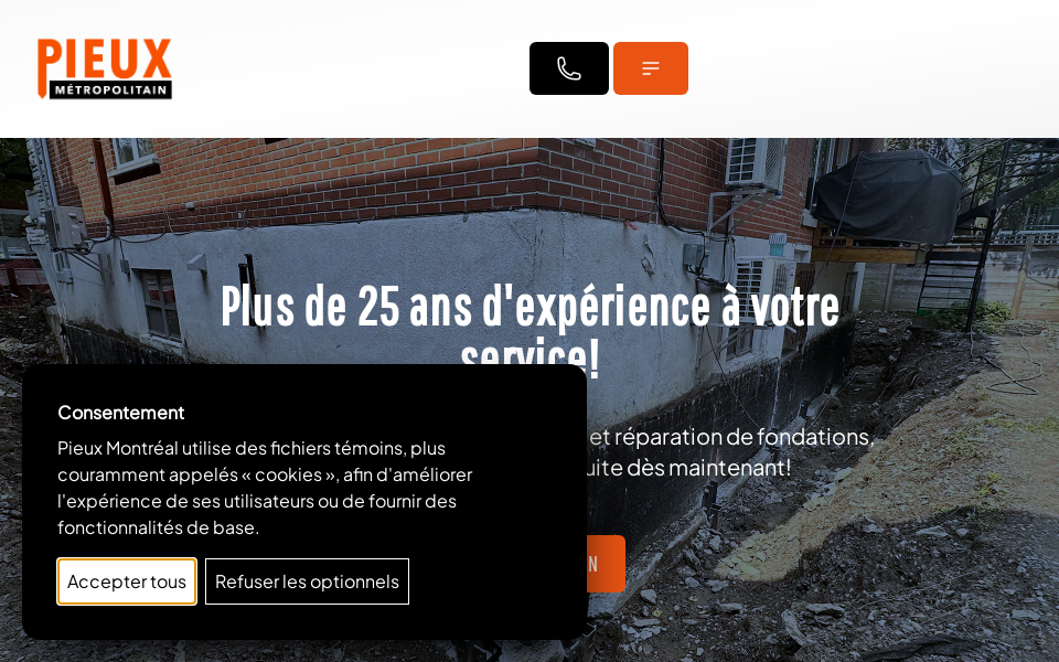 pieuxmetropolitain.com screen capture