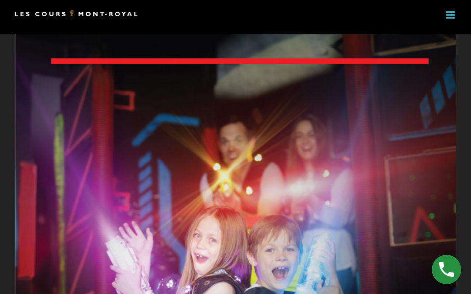 lcmr.ca/ screen capture