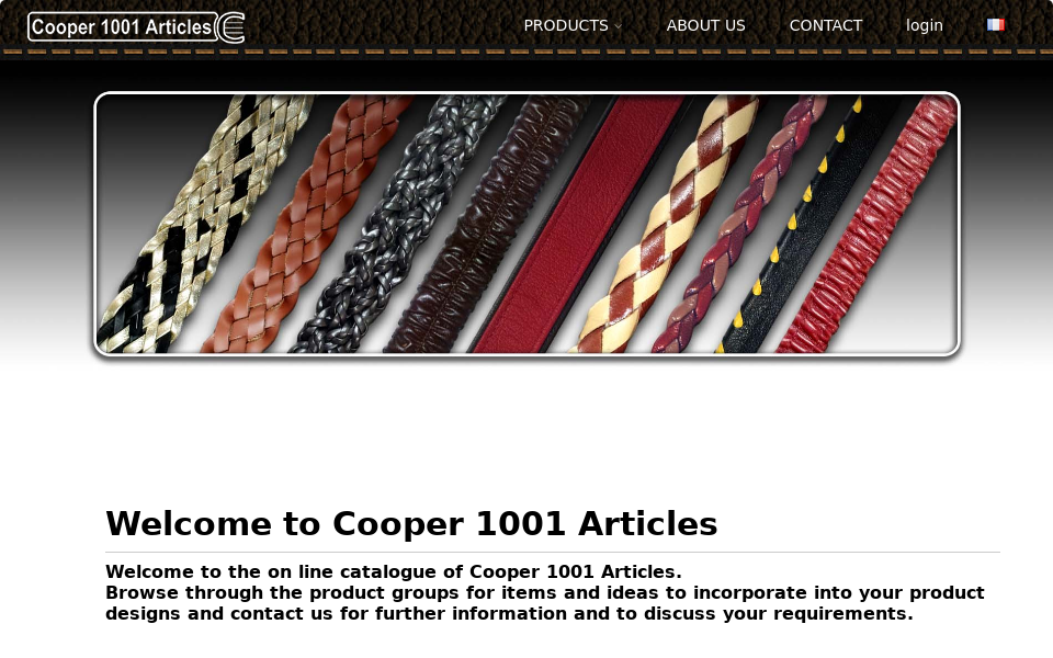 www.cooper1001.com/language/en/ screen capture