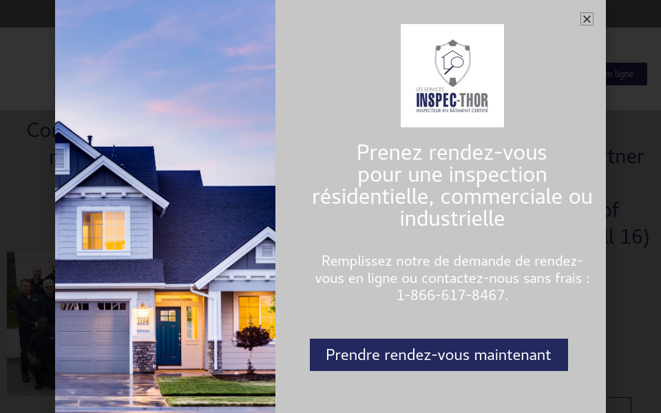 inspec-thor.com/ screen capture