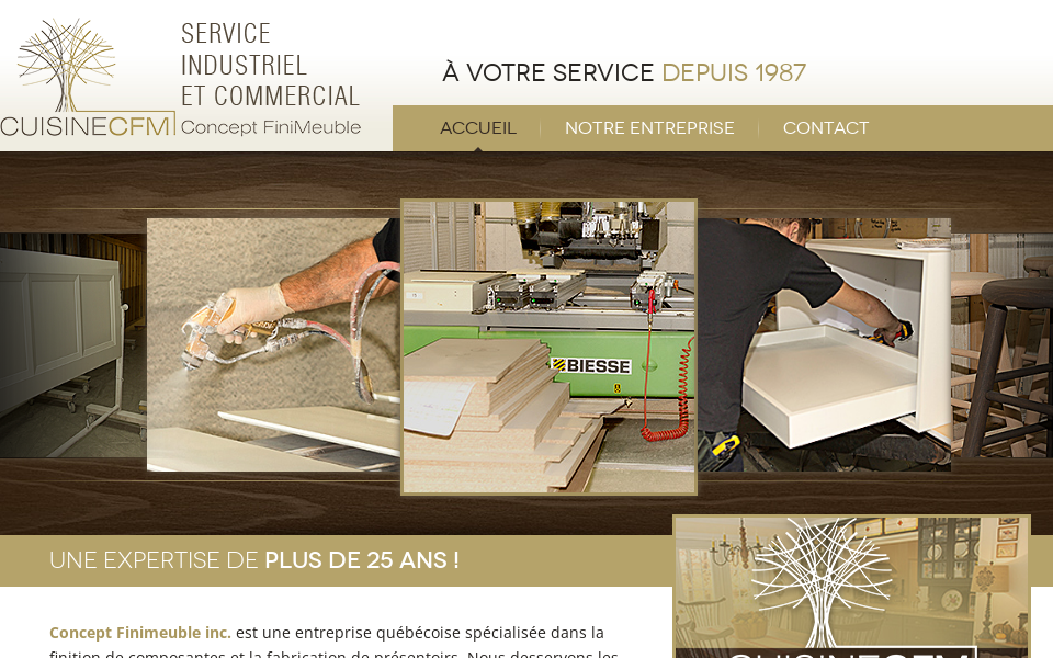 conceptfinimeuble.com screen capture