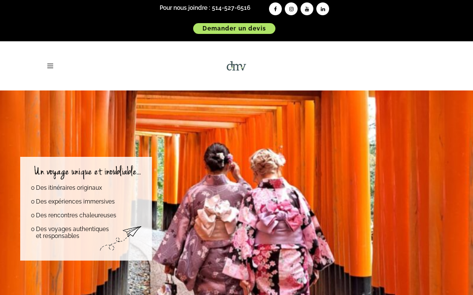 dessinemoiunvoyage.com/ screen capture