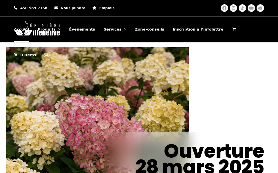 pepinierevilleneuve.com/ screen capture