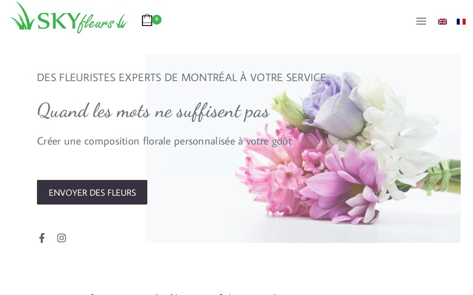 skyfleurs.com/ screen capture
