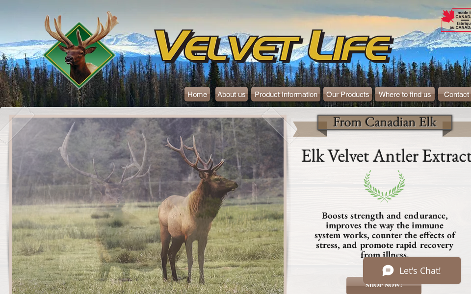 viedevelours.com/ screen capture