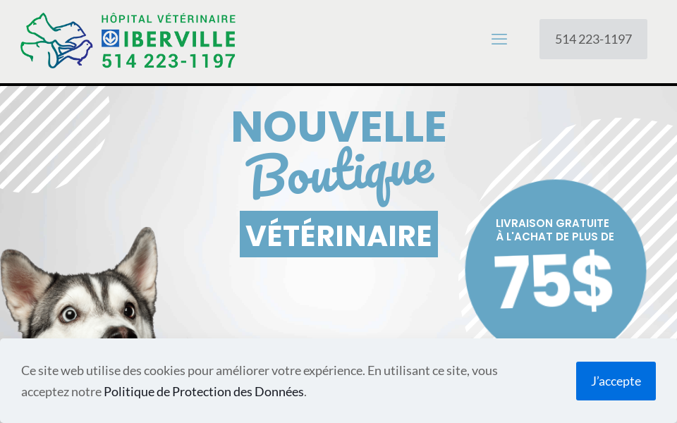 vetmontreal.com/ screen capture