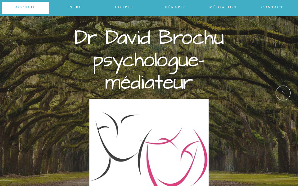 www.drbrochupsychologue.ca/ screen capture
