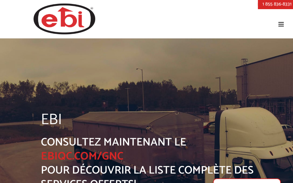 ebigaznaturel.com/ screen capture