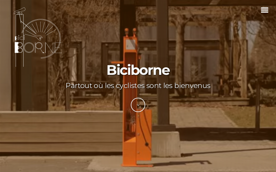 biciborne.com/ screen capture