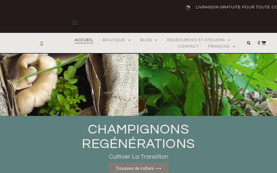 champignons-maison.com/ screen capture