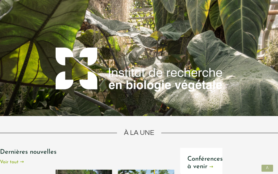 irbv.umontreal.ca/ screen capture