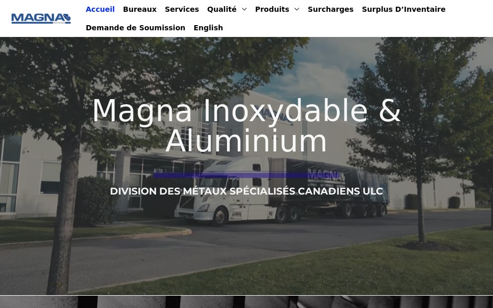 www.magnastainless.com/ screen capture