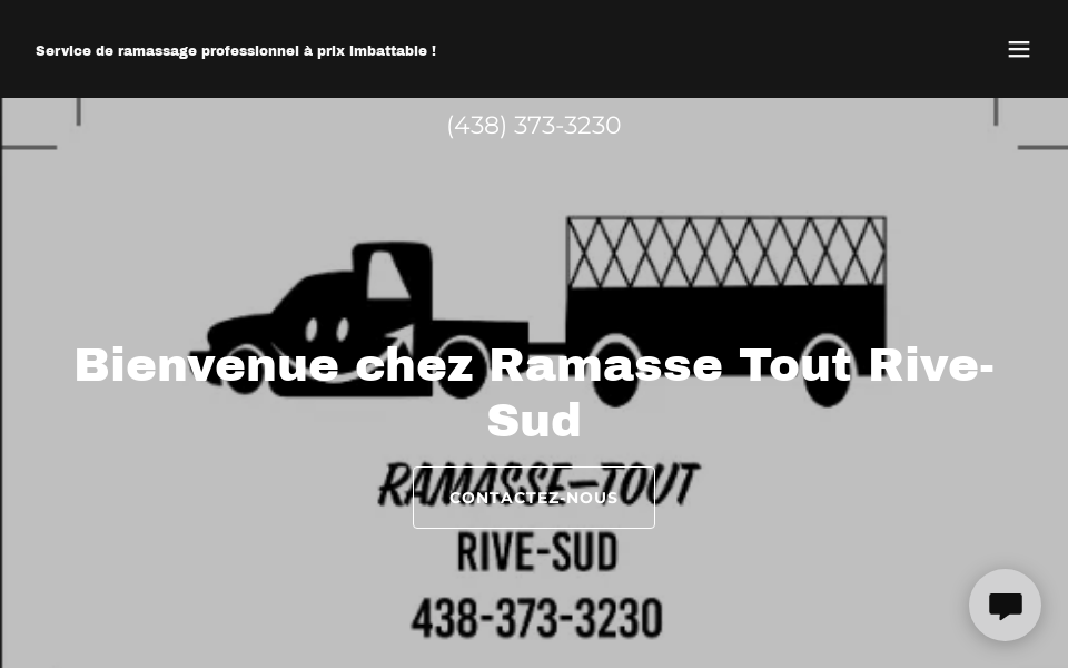 ramassetoutrivesud.com/ screen capture