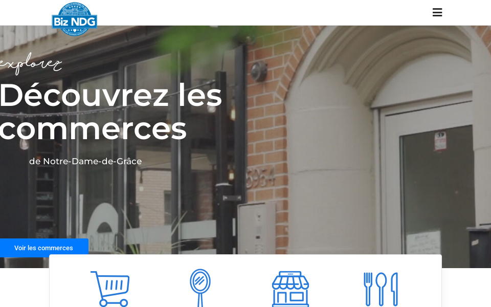 bizndg.com/ screen capture