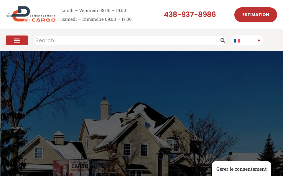 demenagementcargo.com/ screen capture