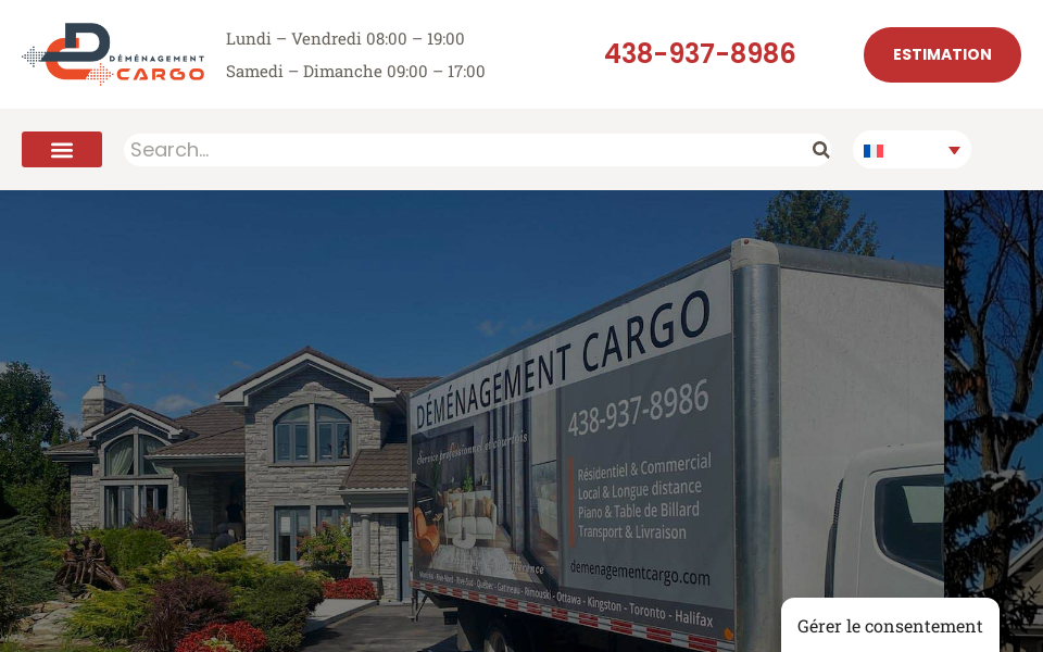 demenagementcargo.com/ screen capture