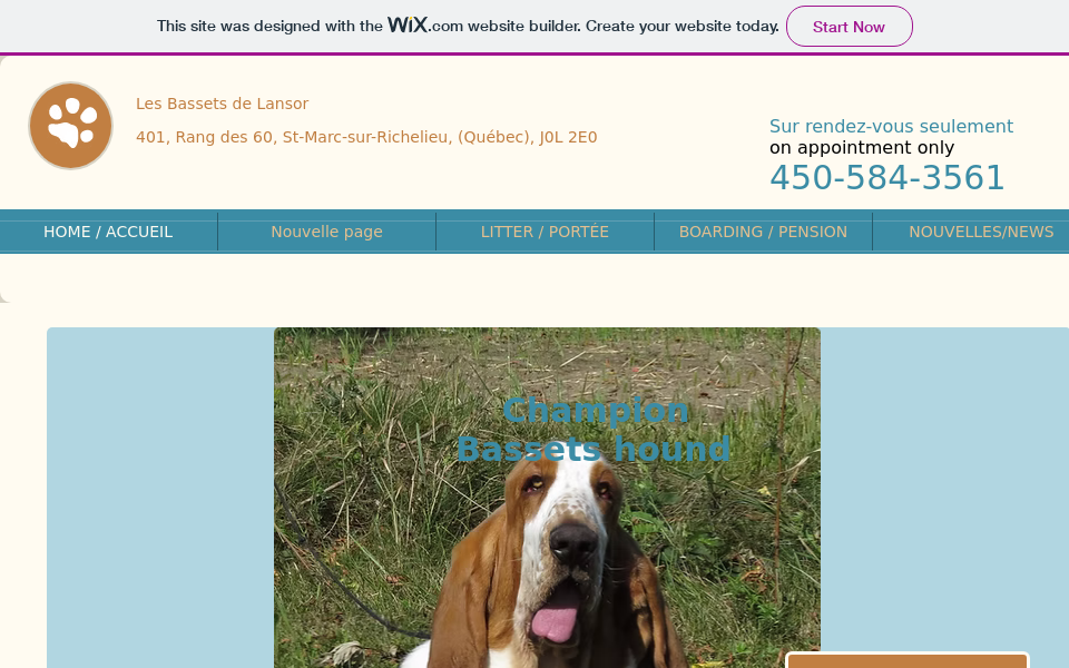 bhlansor.wixsite.com/basset-de-lansor screen capture