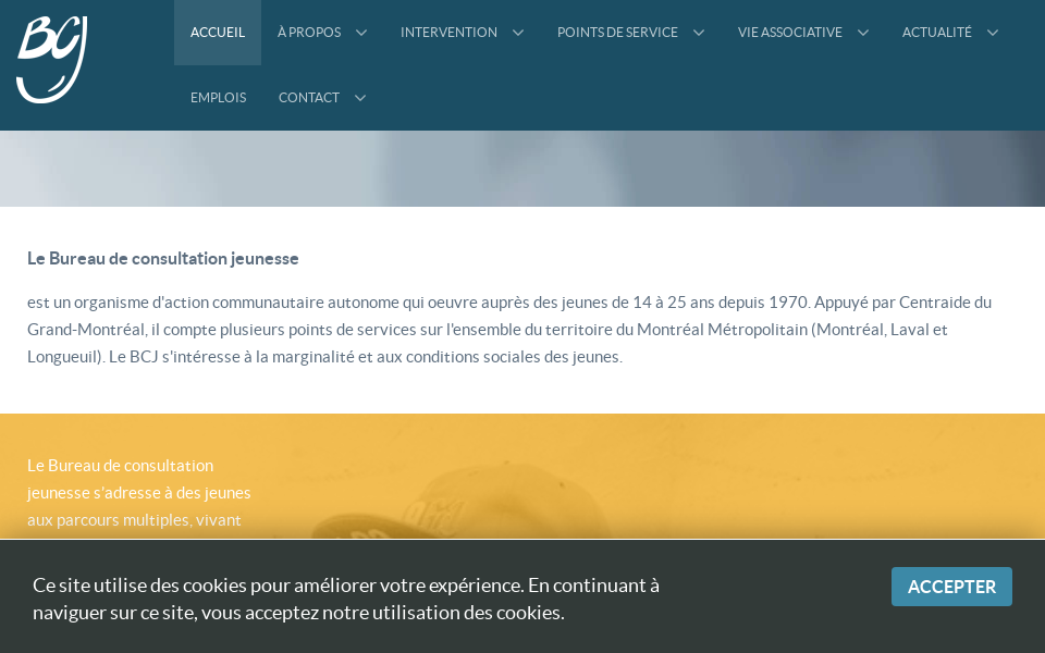 bureaudeconsultationjeunesse.org/ screen capture
