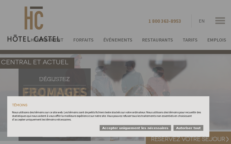 hotelcastel.ca/ screen capture