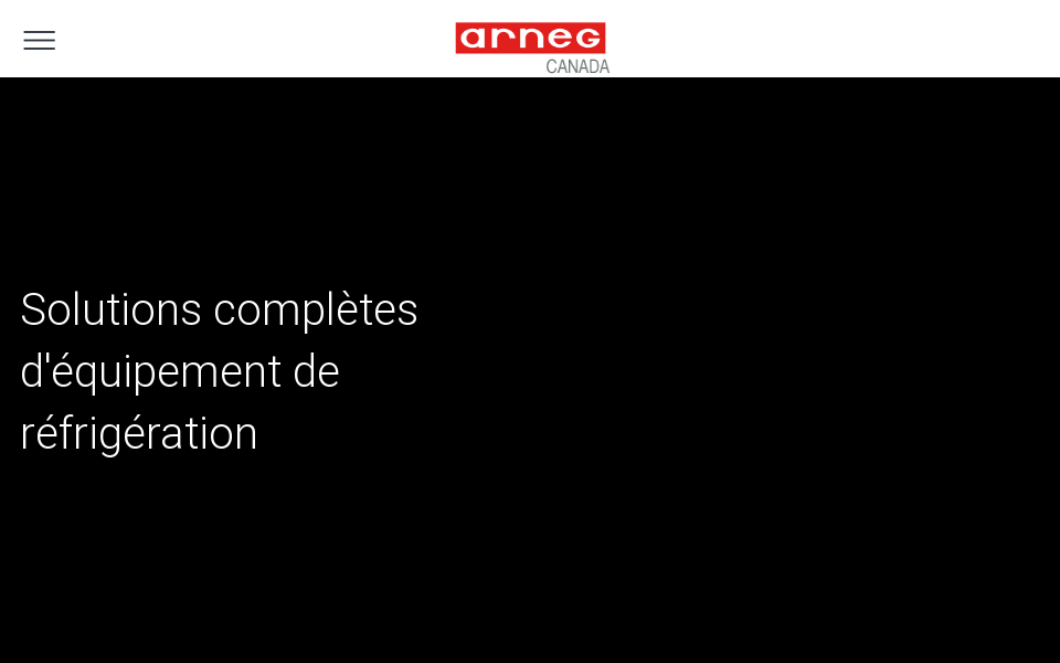 www.arneg.ca/ screen capture